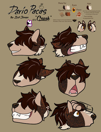 Expression Sheet