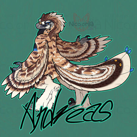 Andreas badge for TFF 2026