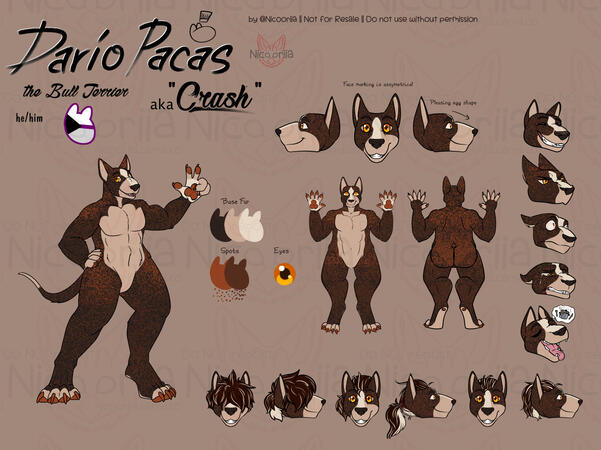 Reference Sheet